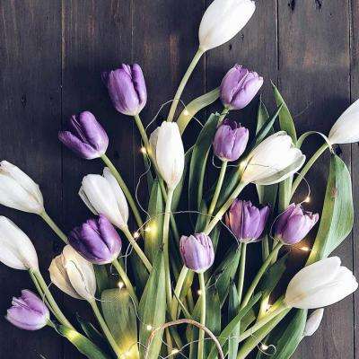 完美娱乐官网下载